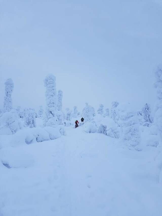 Хостелы Hostel Sivakka Экясломполо-25