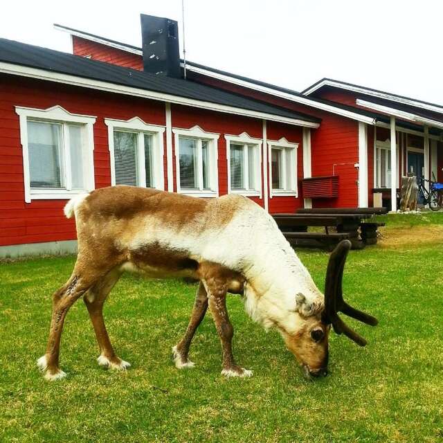 Хостелы Hostel Sivakka Экясломполо-31